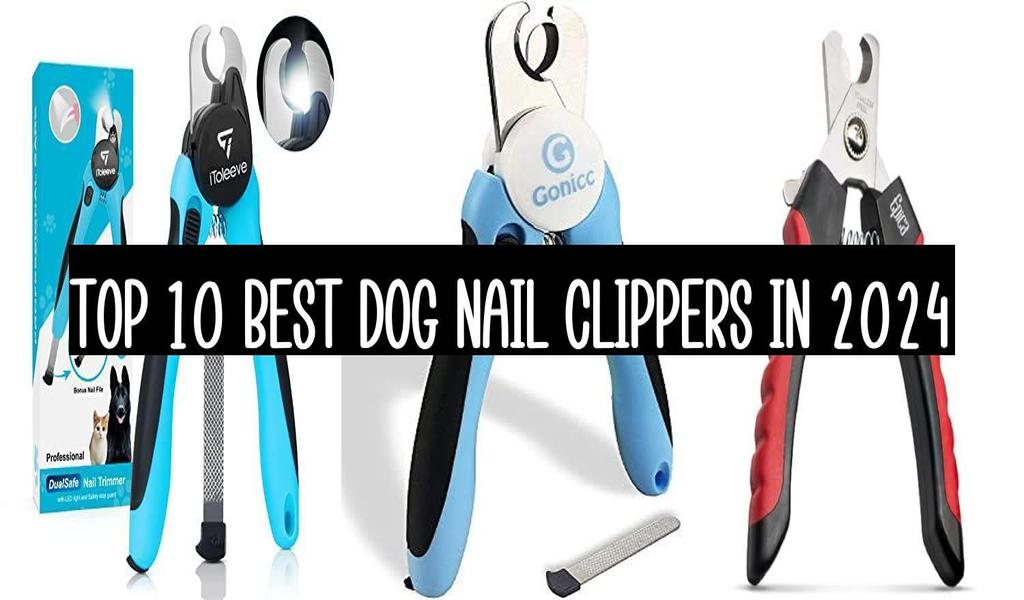 Top 10 Best Dog Nail Clippers In 2024