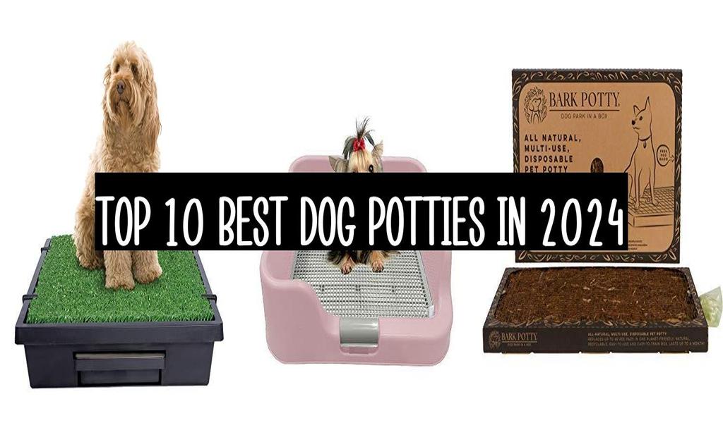 Top 10 Best Dog Potties In 2024