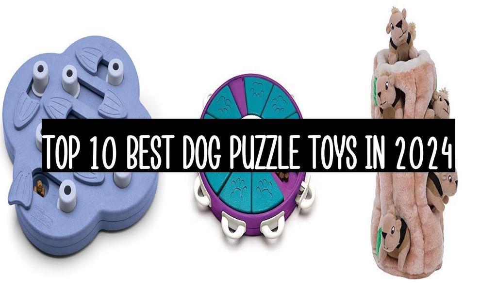 Top 10 Best Dog Puzzle Toys In 2024