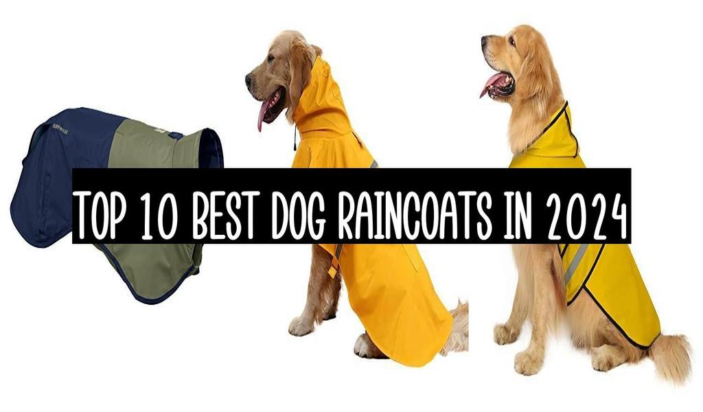 Top 10 Best Dog Raincoats In 2024