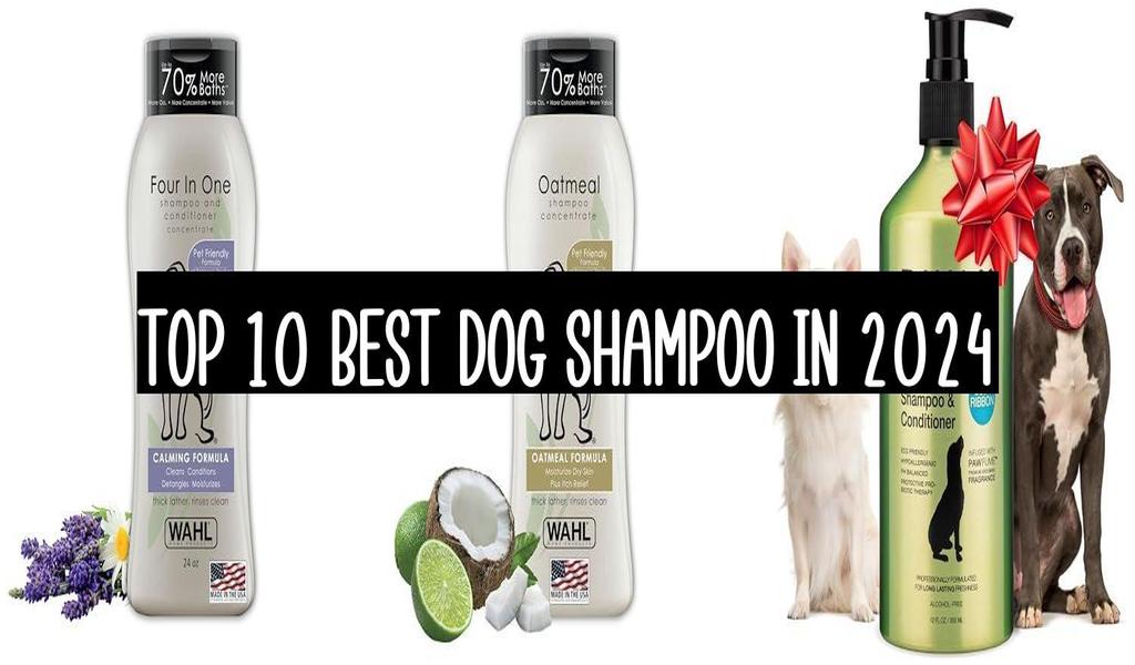 Top 10 Best Dog Shampoo In 2024