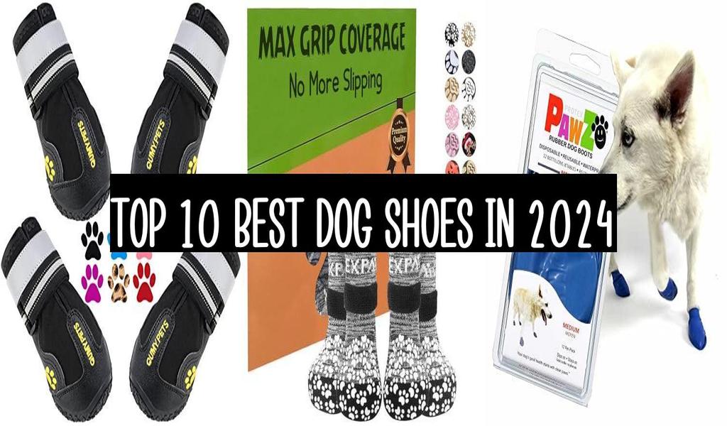 Top 10 Best Dog Shoes In 2024