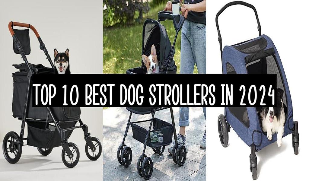 Top 10 Best Dog Strollers In 2024