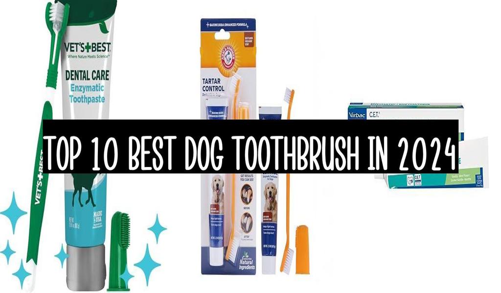 Top 10 Best Dog Toothbrush In 2024