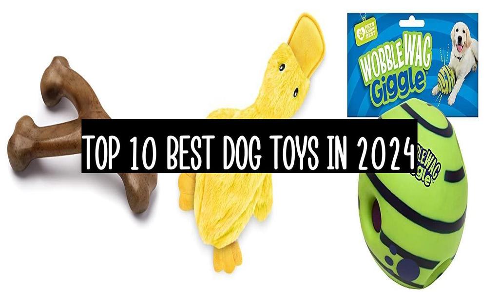 Top 10 Best Dog Toys In 2024