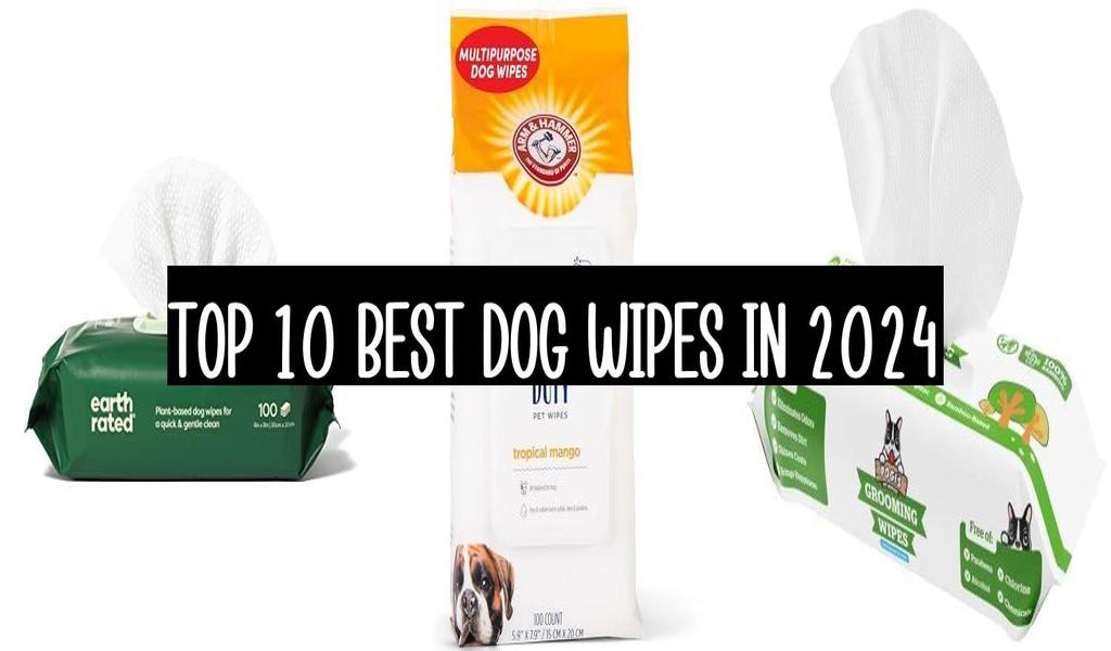 Top 10 Best Dog Wipes In 2024