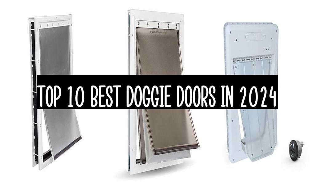 Top 10 Best Doggie Doors In 2024