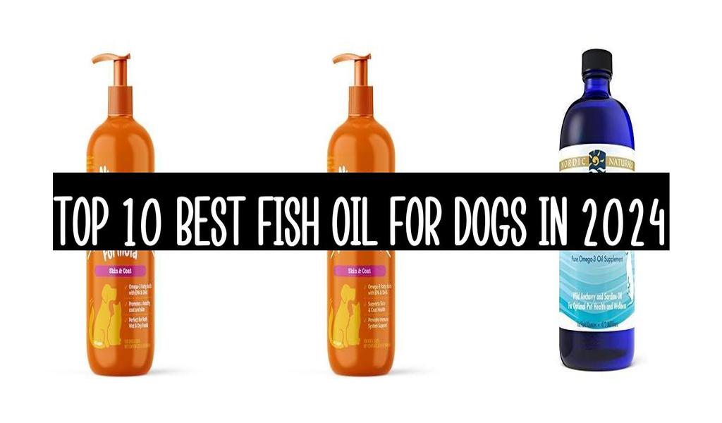 Top 10 Best Fish Oil For Dogs In 2024